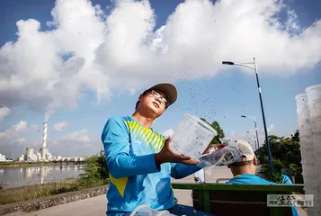 人蚊之战