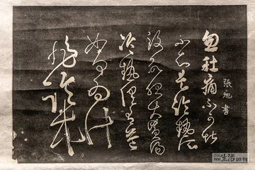 狂草《自叙帖》：任是“无情”也动人3