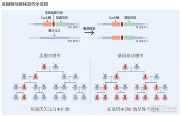 人蚊之战16