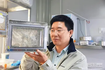 人蚊之战17