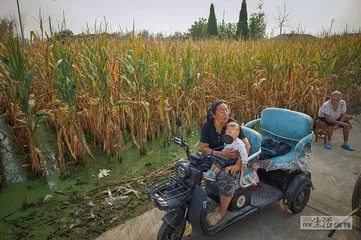 被大水围困的永城煤矿沉陷区1
