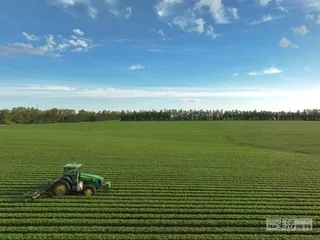 大豆振兴：来自原产国的追赶8