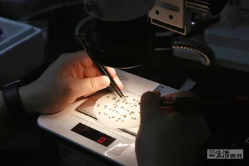 人蚊之战18