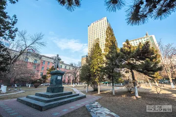无法毕业的医学博士1