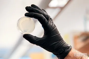 生理学或医学奖：基因调控才是王道3