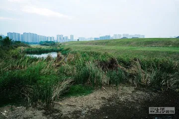探寻汨罗江：为屈原写下的悲歌7