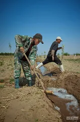 被停滞的春耕：一块土地的生存逻辑与管理逻辑之争7