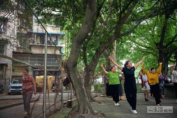 成都中央花园二期：争取拆建小区这五年1