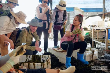 与保罗·萨洛佩科穿越中国的最后70公里3