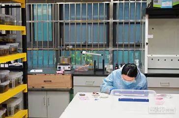 “流水线”上的汉代漆器1