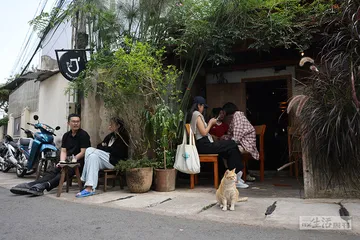 大叻：慢时光里，享用一杯好咖啡4
