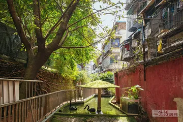 自贡人民公园，在小城中央1
