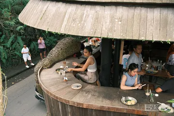 印尼咖啡，古老与新潮2