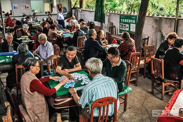 自贡人民公园，在小城中央10
