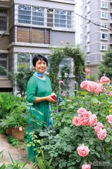 理想小区：“善治”何以实现？2