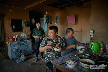 被停滞的春耕：一块土地的生存逻辑与管理逻辑之争1