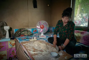 被停滞的春耕：一块土地的生存逻辑与管理逻辑之争3