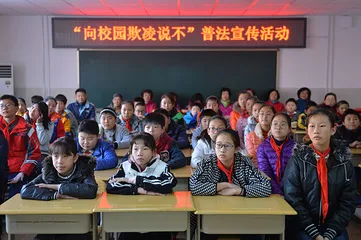 低龄未成年人犯罪：刑罚之上的矫治难题