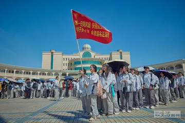 新高考十年：选择与博弈5