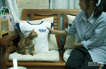 逃婚4