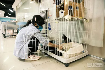 逃婚6