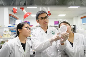 老师还是老板：重新认识师生关系