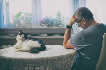 养猫的坏处