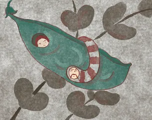 社懒