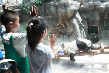一起去逛动物园2