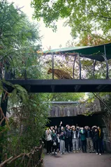 一起去逛动物园3