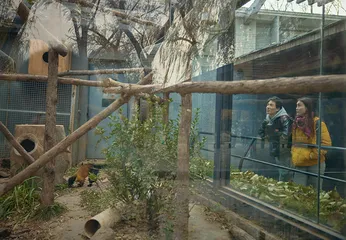 一起去逛动物园6