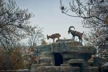 一起去逛动物园9