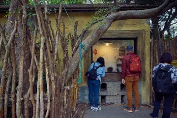 一起去逛动物园10