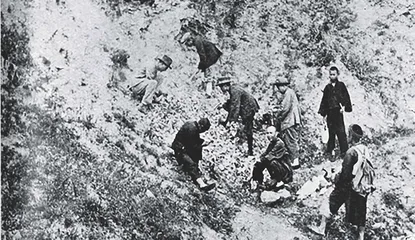 1913，从一个调查所开始的现代科学之旅6