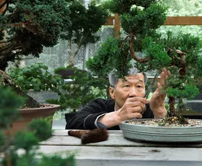 完美主义圈套1