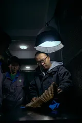 与动物打交道，那些单纯而复杂的事2