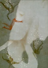 过度努力