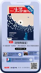 主编说 | 流量的密码到底是什么？