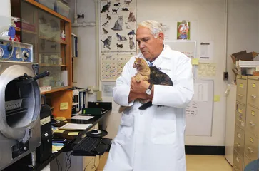 制售猫药获刑15年：“猫传腹”的用药困局1