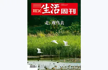 往期精选 | 以自然之名抱紧生活1