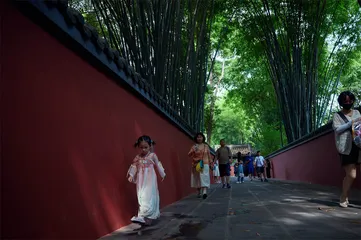 天府之国，平原如此珍贵4