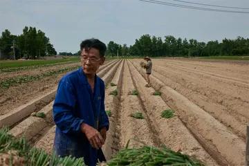 南阳盆地，帝乡，北人南迁的跳板4