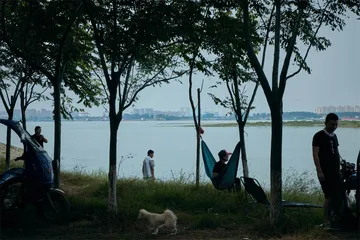 “湖广熟，天下足”，云梦泽的消失与江汉平原大开发4