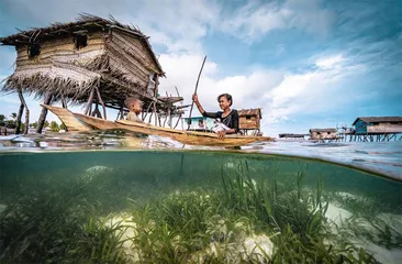 海洋面临生态危机，扩大海洋保护区刻不容缓