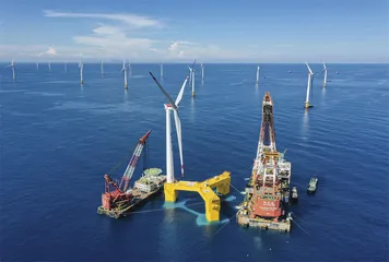 海洋面临生态危机，扩大海洋保护区刻不容缓3