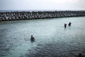 海洋面临生态危机，扩大海洋保护区刻不容缓4