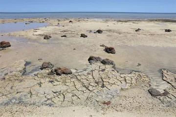 海洋简史3