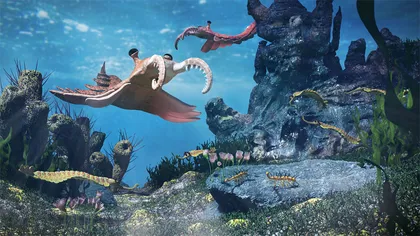 海洋简史5