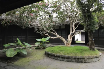 青莲：由胡入汉8