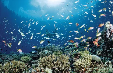 海洋简史7